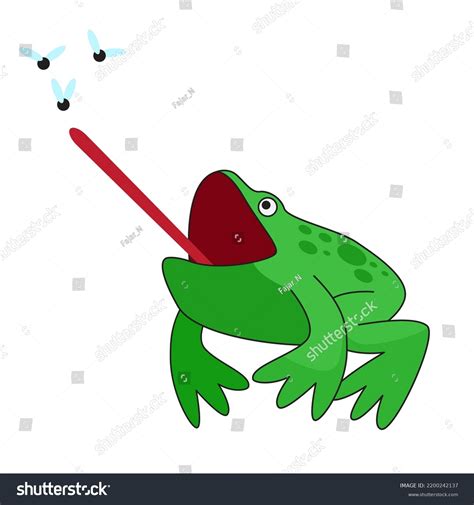 Cartoon Frog Catching Fly Flat Design Stock Vector Royalty Free