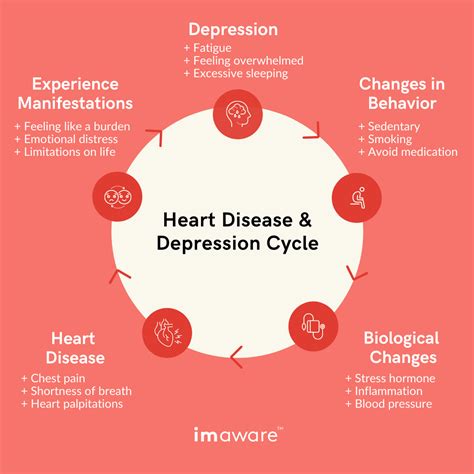 Depression And Heart Disease Whats The Link Imaware