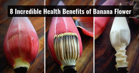 8 Incredible Health Benefits Of Banana Flower Benefits Of Eating Bananas Banana Flower