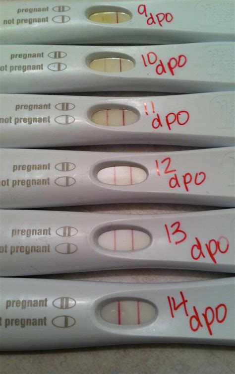 Days Past Ovulation For Positive Pregnancy Test Instructions Best Way To Conceive With