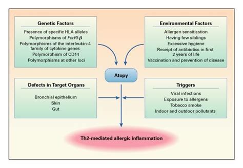 Allergy And Allergic Diseases Nejm