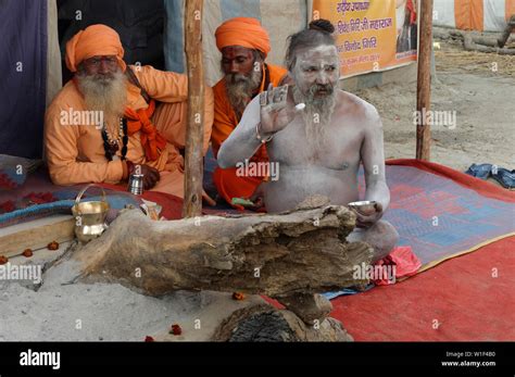 Sadhu Covered With White Ashes For Editorial Use Only Allahabad Kumbh