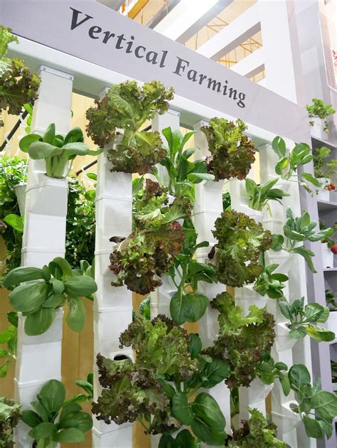 Indoor Vertical Farming Ecofriendly Agriculture Cropaia