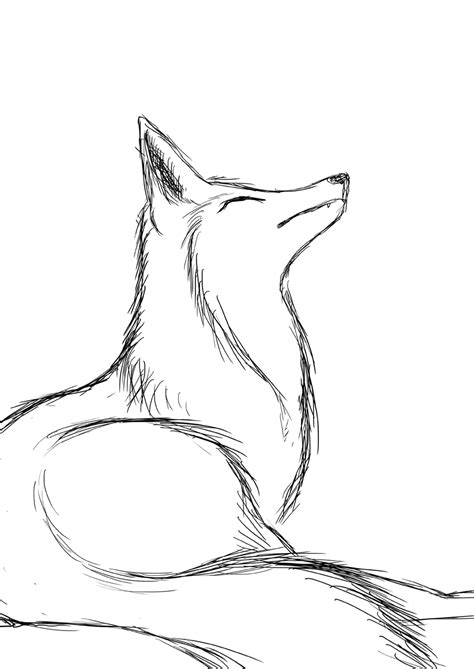 Fox Drawings Outline Coloring Pages Sketch Coloring Page