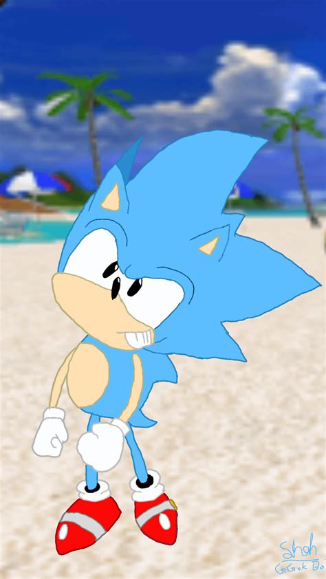 Oc Classic Sonic In The Sonic Adventure Dx Directors Cut Pose