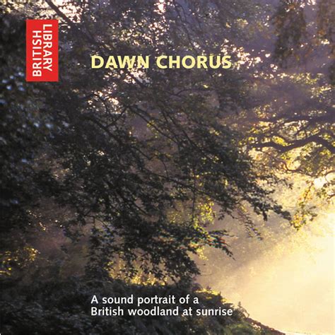 Dawn Chorus A Sound Portrait Of A British Woodland At Sunrise Cd