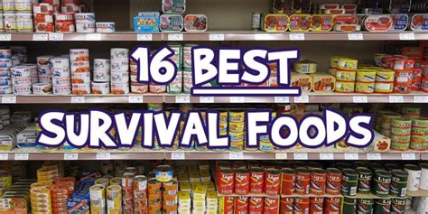 Be Prepared 16 Must Have Survival Foods Put Them In Your Pantry Now