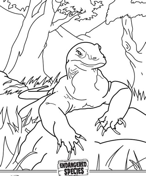 By pressing 'print' button you will print only current page. Komodo Dragon Coloring Page at GetDrawings | Free download