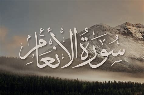 Surah ghaffir ayat 44 mp3 & mp4. TAFSIR AYAT SURAH AL-AN'AM AYAT 44 - Mengaji Online