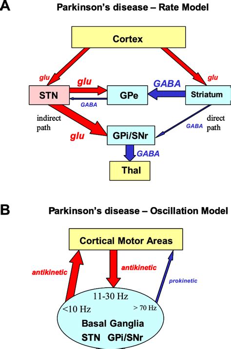 A Schematic Figure Of The Rate Model Of Parkinsons Disease The Major