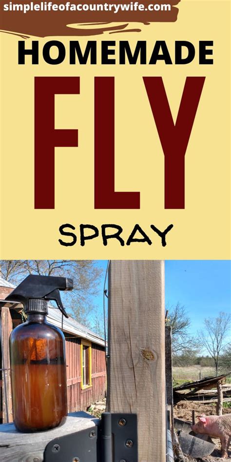 Homemade insect repellent can be easily made at the comfort of your home. Homemade Fly Spray | Homemade fly spray, Fly spray, Diy mosquito repellent