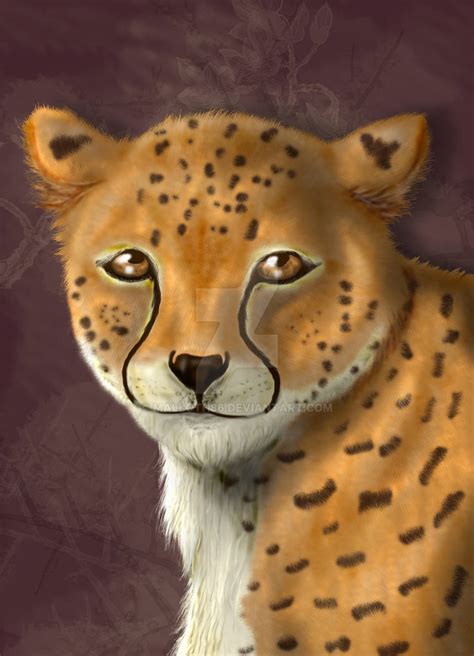 Cheetah By Malloth86 On Deviantart