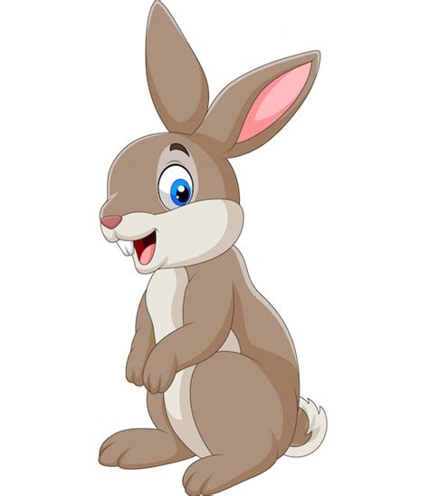Conejos En Dibujo Dibujos Animados Conejo Sentado En La Hierba