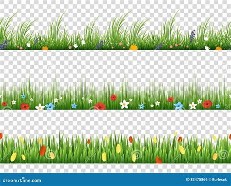 Vector Green Grass And Spring Flowers Nature Border Patterns On