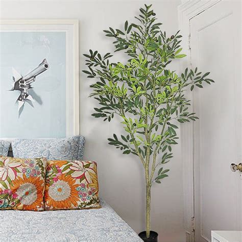 Also, in areas with low air circulation and high humidity, diseases such as leaf spot appear more easily. Fruiting Olive Floor Ficus Tree in Pot | Faux olive tree ...