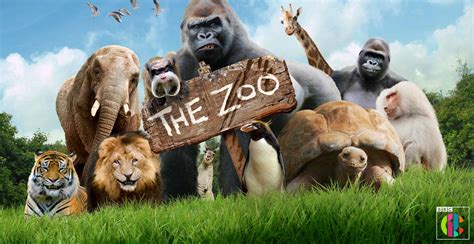 Zoo animals find the match. Zoo animals are the stars of new TV show - Whats On South West