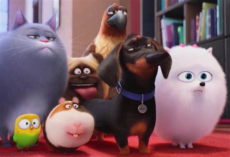 Review: 'The Secret Life of Pets', animated film | flayrah
