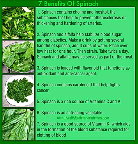 Rainbowdiary Health Benefits Of Spinach