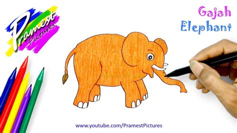 Sketsa gambar hewan gajah elephant coloring pages 698x520 download hd wallpaper wallpapertip. 500+ Gambar Gajah Mewarnai Terbaik - Infobaru