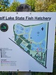 VBBT – Wolf Lake State Fish Hatchery - Michigan Roots Birding