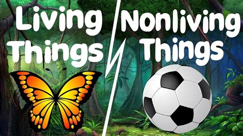 Learn Living Things And Nonliving Things For Nursery Pre School