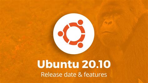 Ubuntu 2010 Groovy Gorilla