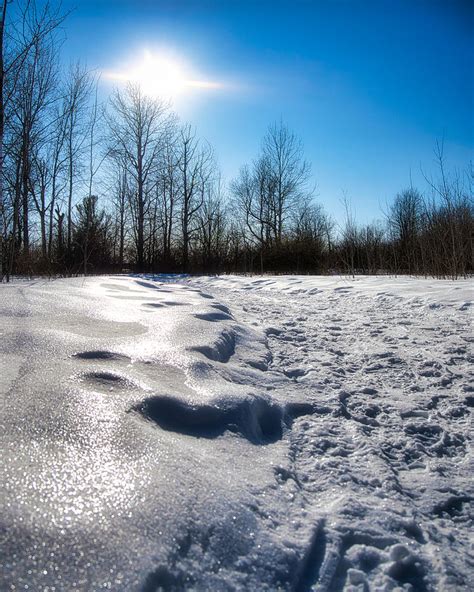 Sunlight Reflection On The Snow Photograph By Frederick Belin Pixels