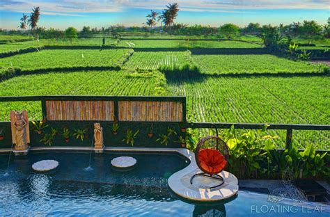 Bali Photo Gallery Floating Leaf Eco Luxury Retreat