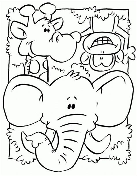 Brilliant Picture Of Jungle Animal Coloring Pages Zoo Animal Coloring