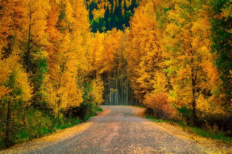 Autumn Trees Forest Road Nature Wallpaper 2048x1365 309636