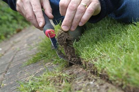 How To Edge A Lawn Bbc Gardeners World Magazine