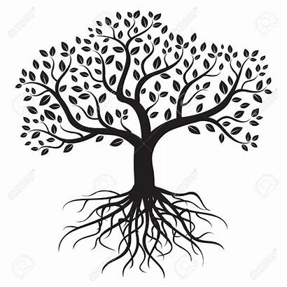 Roots Tree Drawing Painting Silhouette Clipart Trees
