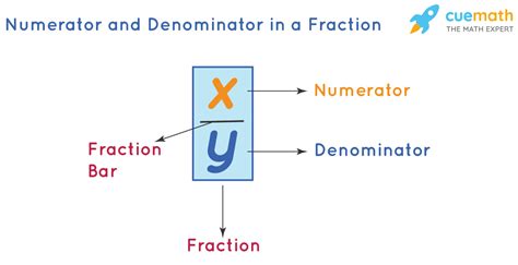 Numerator And Denominator Definition Difference Examples