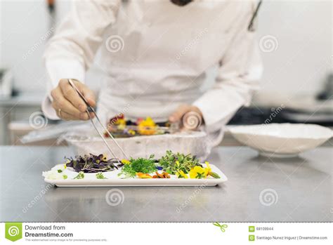 Male Professional Chef Cooking Stock Photo Image Of Cook Gourmet