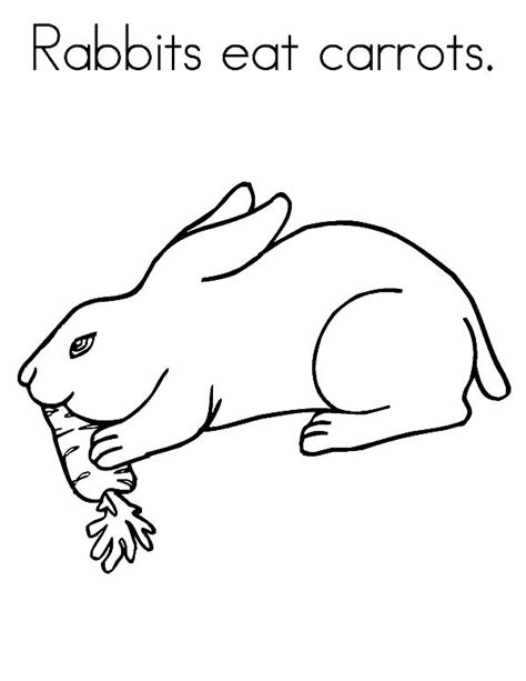 Bunny With Carrot Coloring Pages At Free Printable