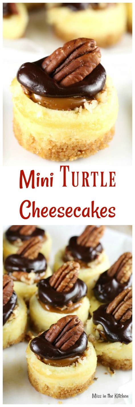 Mini Turtle Cheesecakes Recipe Easy Dessert For Holidays And