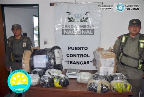 Operativo Lapacho Secuestran 17 Kilos De Marihuana Y Detienen A Cuatro