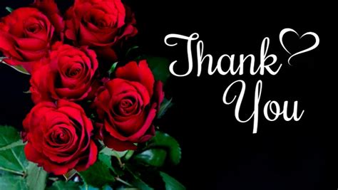 Thank You Video Roses Flowers Greeting Card Template Postermywall