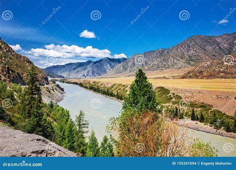 The River Katun Gorny Altai Russia Stock Photo Image Of Natural