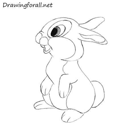 Drawing For All — How To Draw A Rabbit For Kids