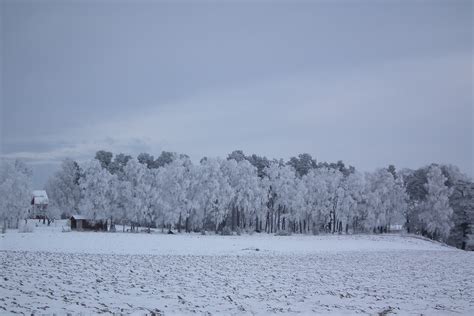 Free Images Tree Nature Mountain Snow Winter Frost Weather