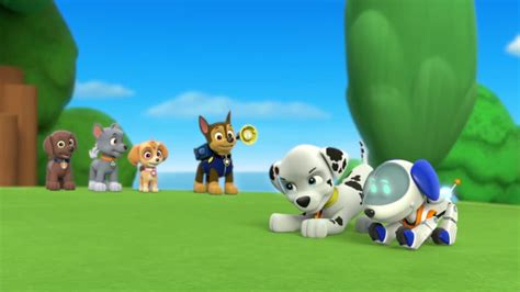 Pups Save Ryders Robot Paw Patrol Wiki