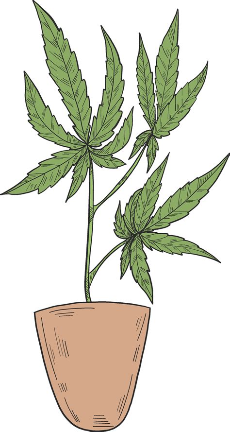 Weed Plant Clipart Images Free Download Png Transparent Clip Art