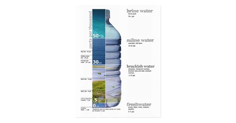 Water Salinity Diagram Brine Salt Fresh Brackish Postcard