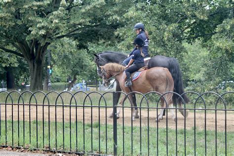 London Hyde Park Horse Riding Prices — Hyde Park Stables