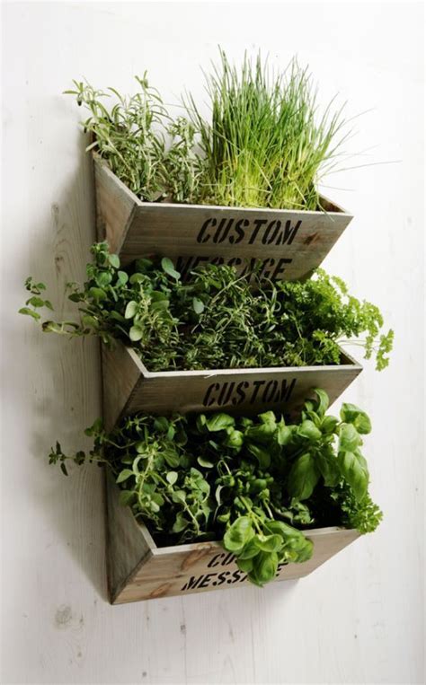 Personalised Large Wall Mounted Herb Planter Kit Kitchen Gardening