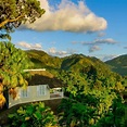 Jamaican Blue Mountains - SpiceBreeze