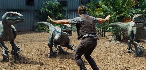 Photos Chris Pratt Is The Raptor Whisperer In Jurassic World Front Row Features