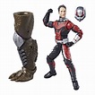 Avengers Marvel Legends Series 6-inch Ant-Man | Toys R Us Canada