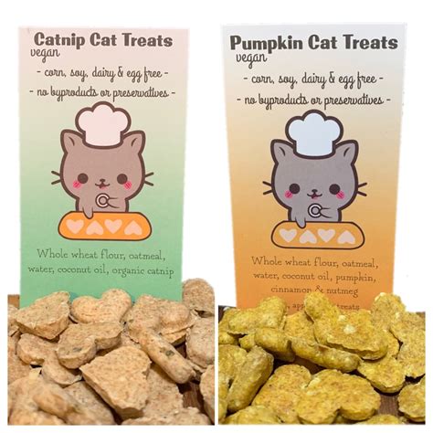 Cat Treats Catnip Pumpkin Handmade Naturally Vegan Etsy
